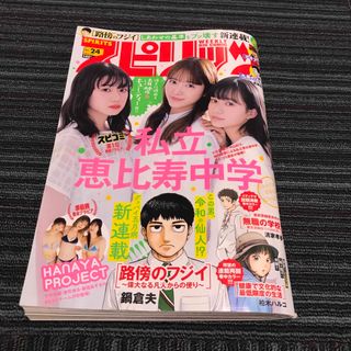 ショウガクカン(小学館)のビッグコミック スピリッツ 2023年 5/29号☆私立恵比寿中学☆路傍のフジイ(アート/エンタメ/ホビー)