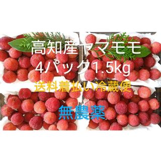 高知産やまもも4パック(約1.5kg) 無農薬栽培、生食・ジュース・果実酒に(フルーツ)