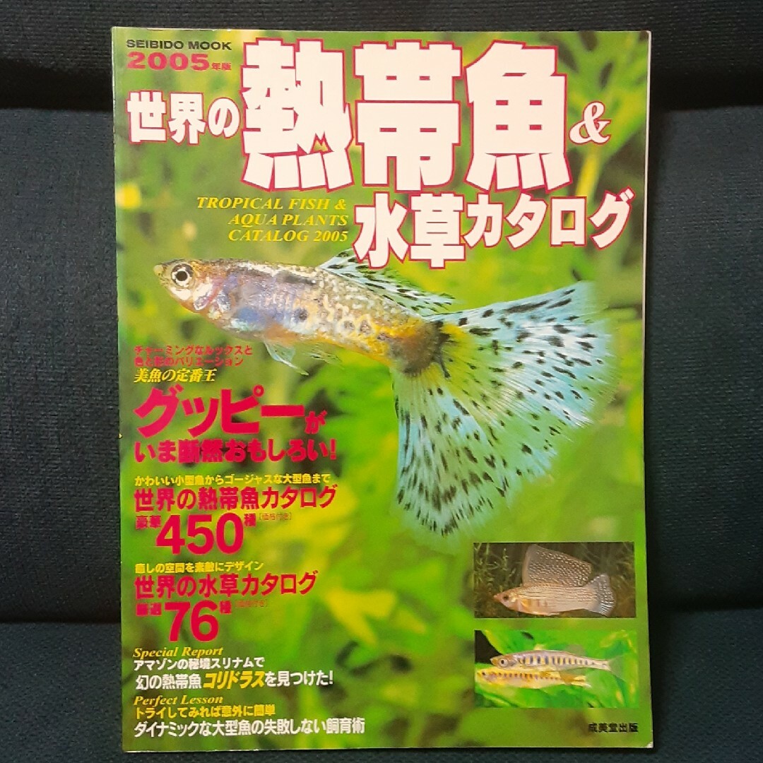 世界の熱帯魚＆水草カタログ ２００５年版 エンタメ/ホビーの本(住まい/暮らし/子育て)の商品写真