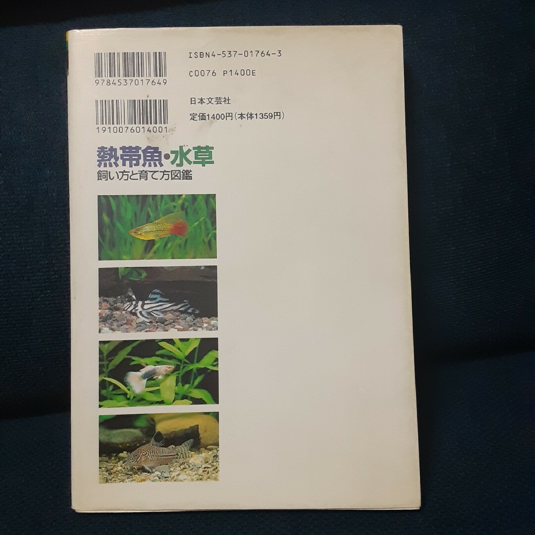 熱帯魚・水草 飼い方と育て方図鑑 エンタメ/ホビーの本(住まい/暮らし/子育て)の商品写真