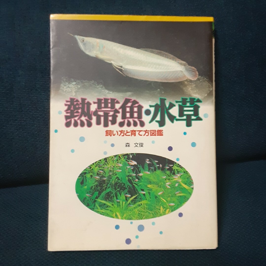 熱帯魚・水草 飼い方と育て方図鑑 エンタメ/ホビーの本(住まい/暮らし/子育て)の商品写真