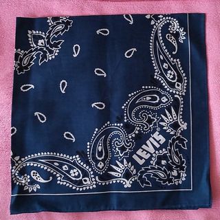 Levi'sのフリマアイテム一覧 Levi'sのフリマアイテム一覧