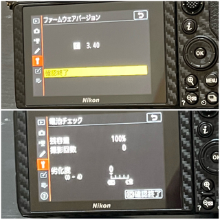 Nikon - 美品 Nikon Z6 本体＋FTZアダプター 防湿庫保管 おまけ付きの ...