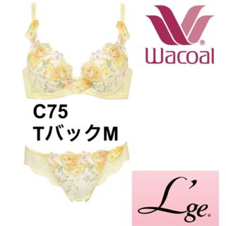 ワコール(Wacoal)の❤️ワコール❤️ルジェ ハッピー【３２Ｇ】Ｆｉｔブラ　ブラC75TバックMセット(ブラ&ショーツセット)