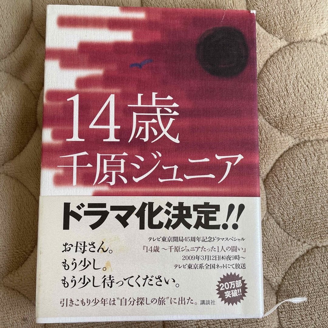 １４歳 エンタメ/ホビーの本(その他)の商品写真