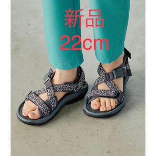 テバ(Teva)のTeva  テバ　レオパード サンダル　別注　新品　5   22cm(サンダル)