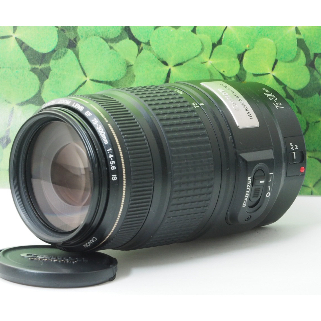 Canon - 【美品】❤️超望遠レンズ❤️キヤノン EF 75-300mm IS USM