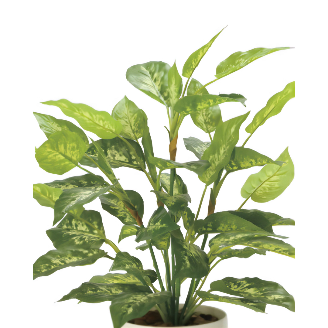 光触媒　人工観葉植物　フェイクグリーン　フレッシュディフェンバキアL 2