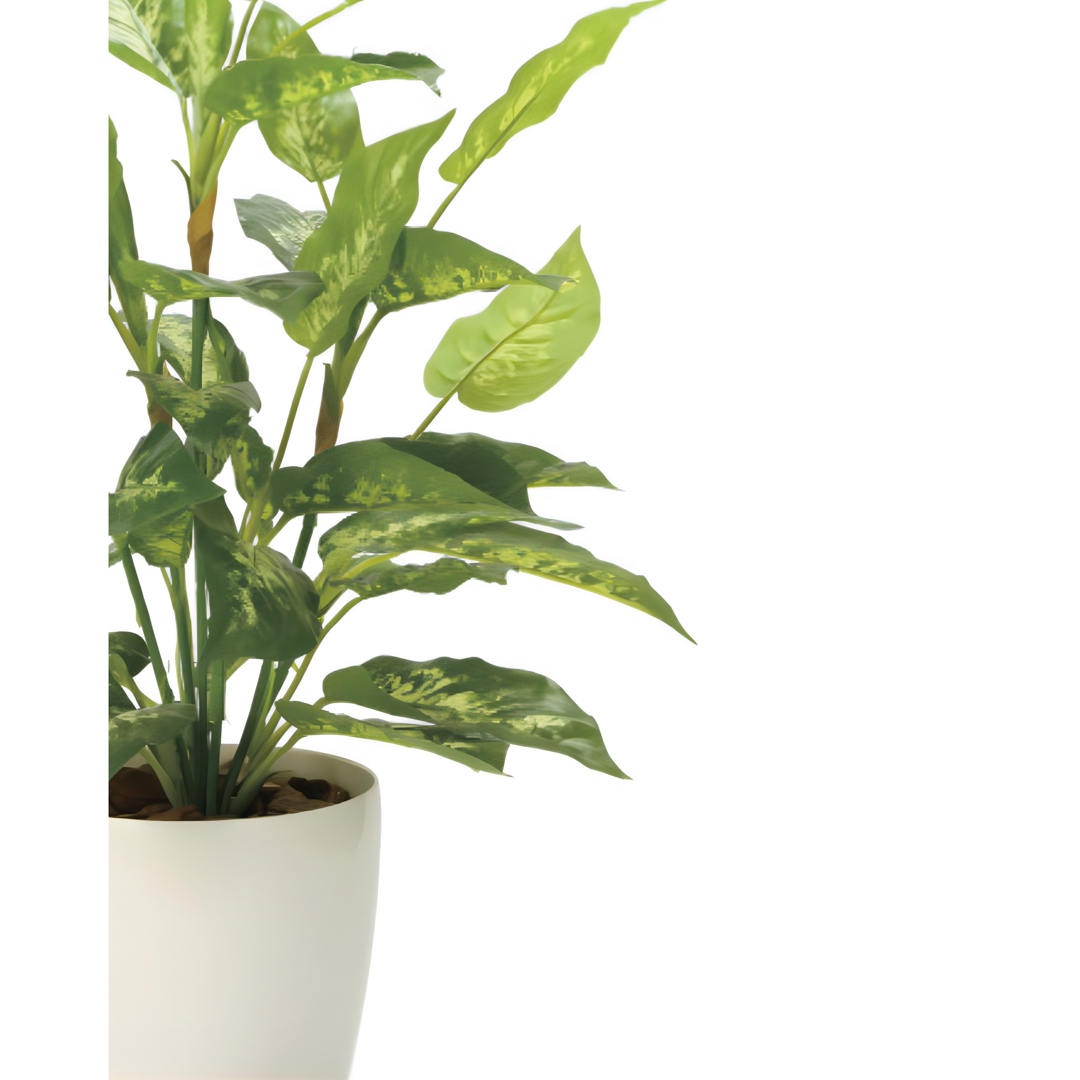 光触媒　人工観葉植物　フェイクグリーン　フレッシュディフェンバキアL 1