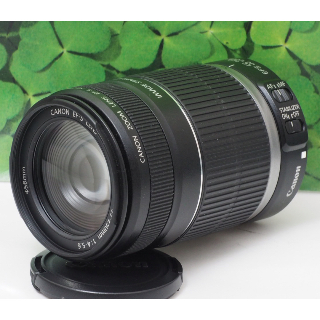 【美品】キャノン EF-S55-250mm 手ブレ補正付き⭐️イベントで大活躍