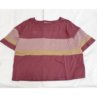 スピンズ(SPINNS)のSPINNS スピンズ ピンク系 ショート丈 半袖Tシャツ Mサイズ(Tシャツ(半袖/袖なし))
