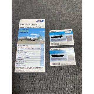 エーエヌエー(ゼンニッポンクウユ)(ANA(全日本空輸))のANA株主優待券＋グループ優待券(航空券)