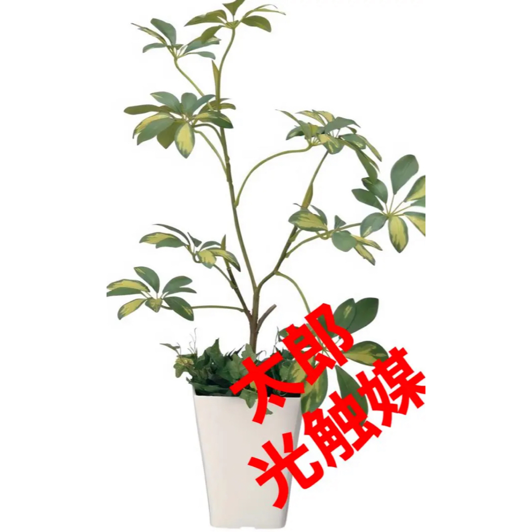 光触媒　人工観葉植物　ウォールグリーン　フェイクグリーン　シェフレラ68