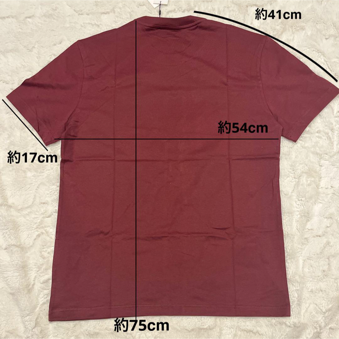 Calvin Klein(カルバンクライン)のカルバンクライン メンズ tシャツ ボルドー L 新品 Calvin Klein メンズのトップス(Tシャツ/カットソー(半袖/袖なし))の商品写真