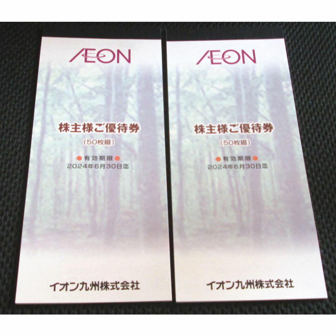 イオン 株主優待券 10,000円分(2冊分) 2024年6月30日迄