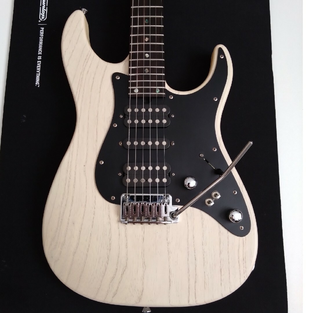 T's Guitars DST-Classic24 Swamp Ash