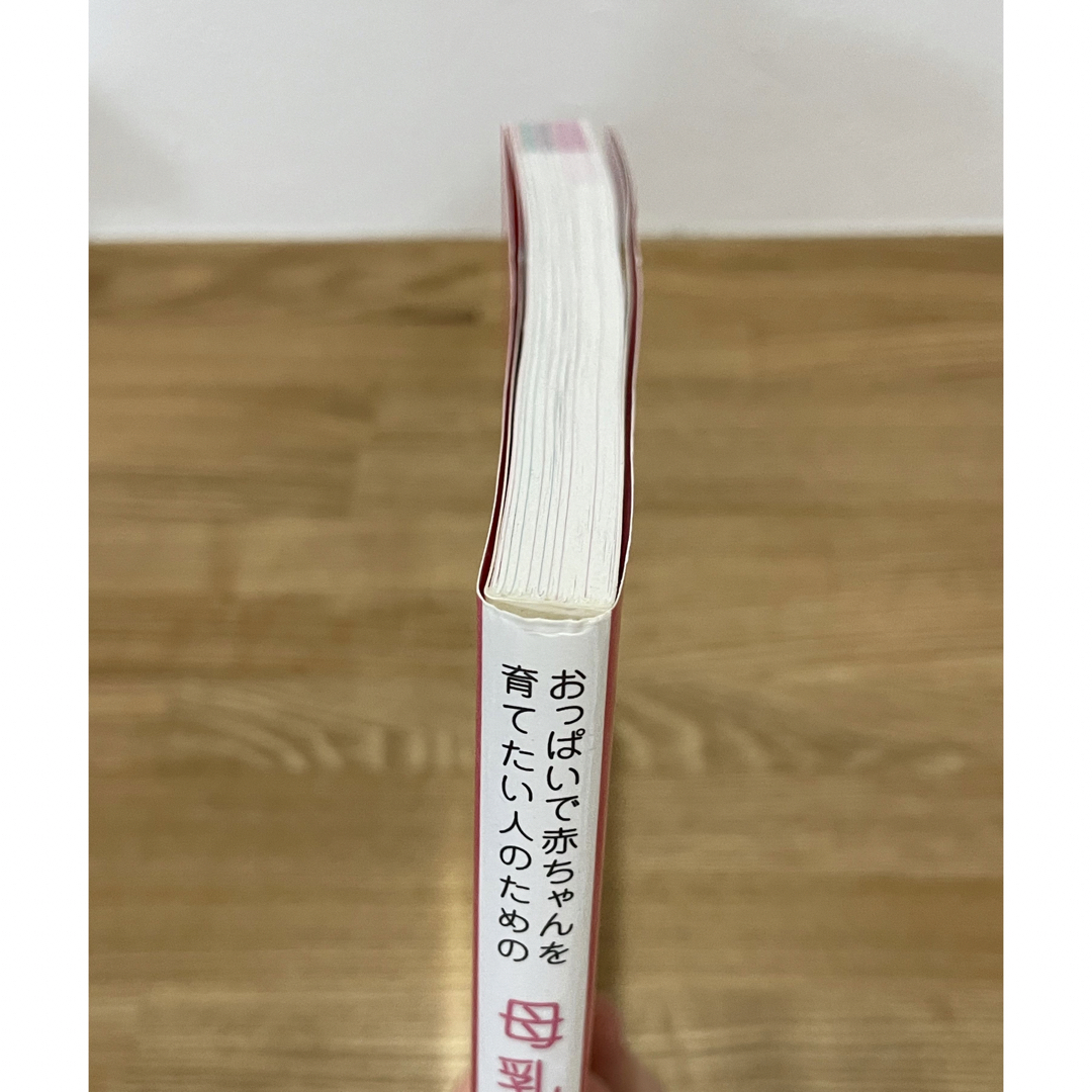 おっぱいで赤ちゃんを育てたい人のための母乳育児の教科書 エンタメ/ホビーの雑誌(結婚/出産/子育て)の商品写真