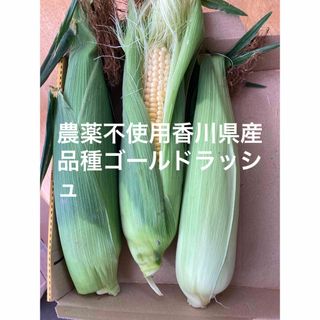 農薬不使用とうもろこし香川県産3本か4本(野菜)