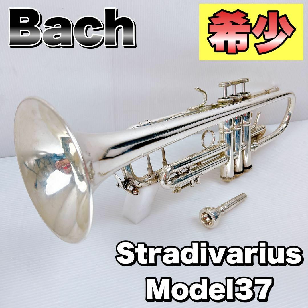 希少】Bach トランペット Stradivarius Model37 ML | angeloawards.com
