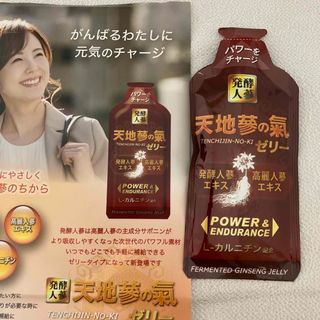 天地蔘の氣 発酵高麗人参入りゼリー45g×5個