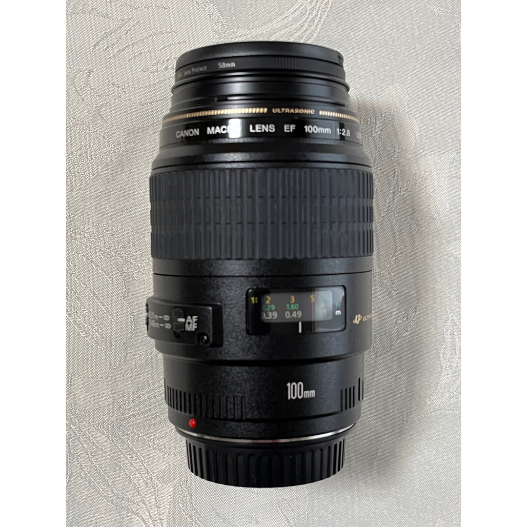 Canon Macro Lens    EF100mm F 2.8 USMEFレンズ