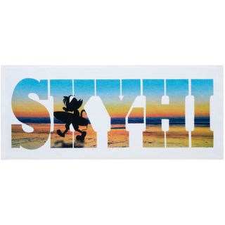 スカイハイ(SKYHi)の2016夏フェスグッズ　タオル(ミュージシャン)