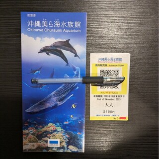 沖縄 美ら海水族館 チケット 大人1枚 期限2023年11月末(水族館)