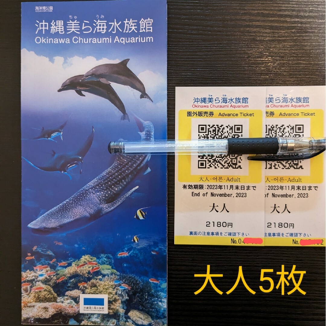 沖縄 美ら海水族館 チケット 大人5枚 期限2023年11月末のサムネイル