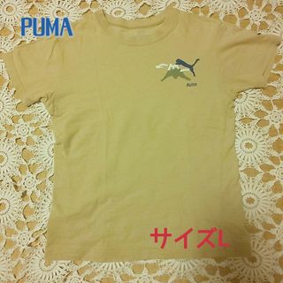 プーマ(PUMA)の⭐️PUMA⭐️ レディースＴシャツ/サイズL /ベージュ/袖・丈短め(ウェア)