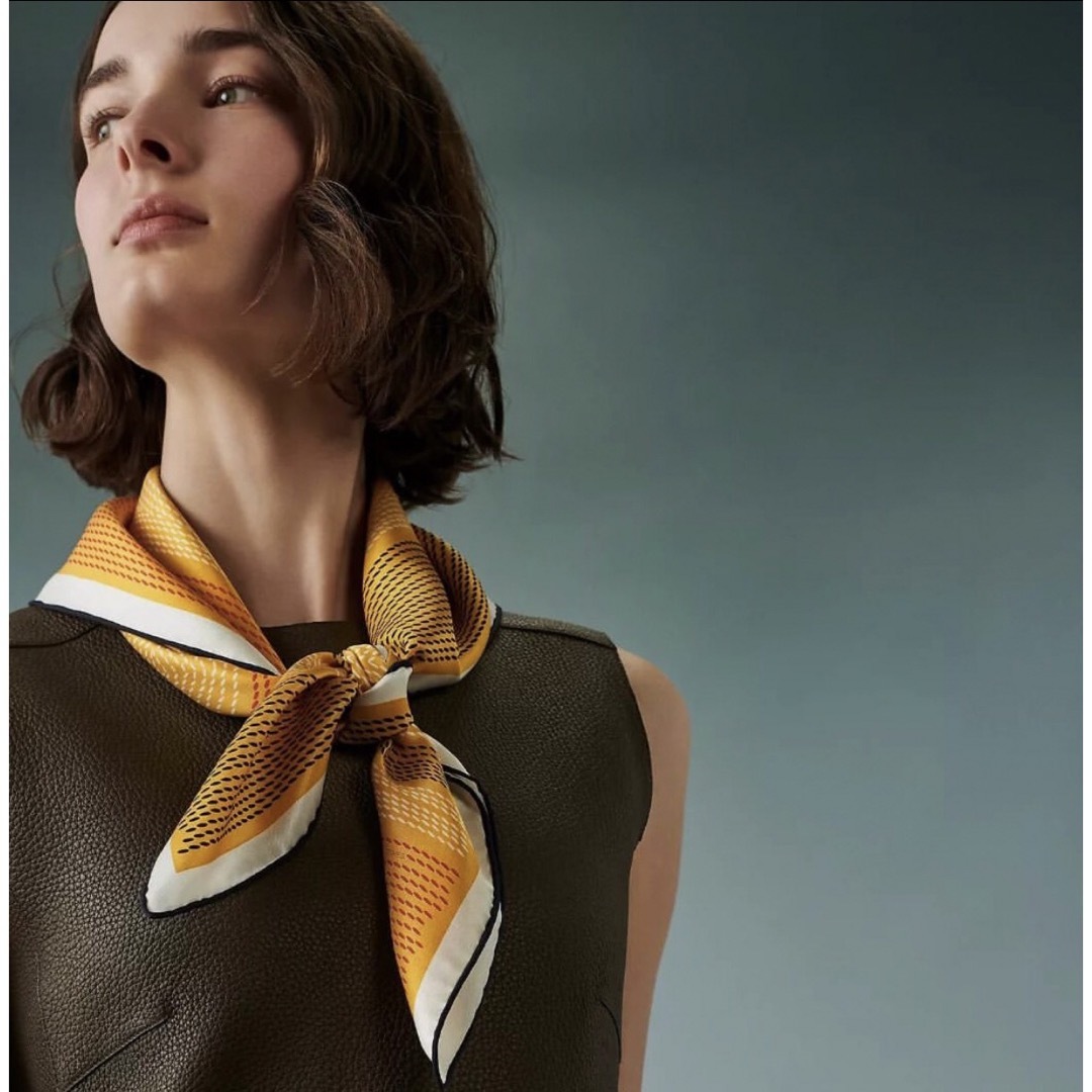 Hermes - エルメス カレ70 エプロンドール・セリエ 2022AWの通販 by