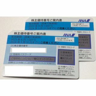 エーエヌエー(ゼンニッポンクウユ)(ANA(全日本空輸))のANA株主優待券　２枚(航空券)