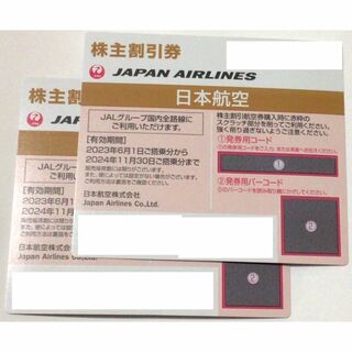 ジャル(ニホンコウクウ)(JAL(日本航空))のJAL株主優待券　２枚(航空券)