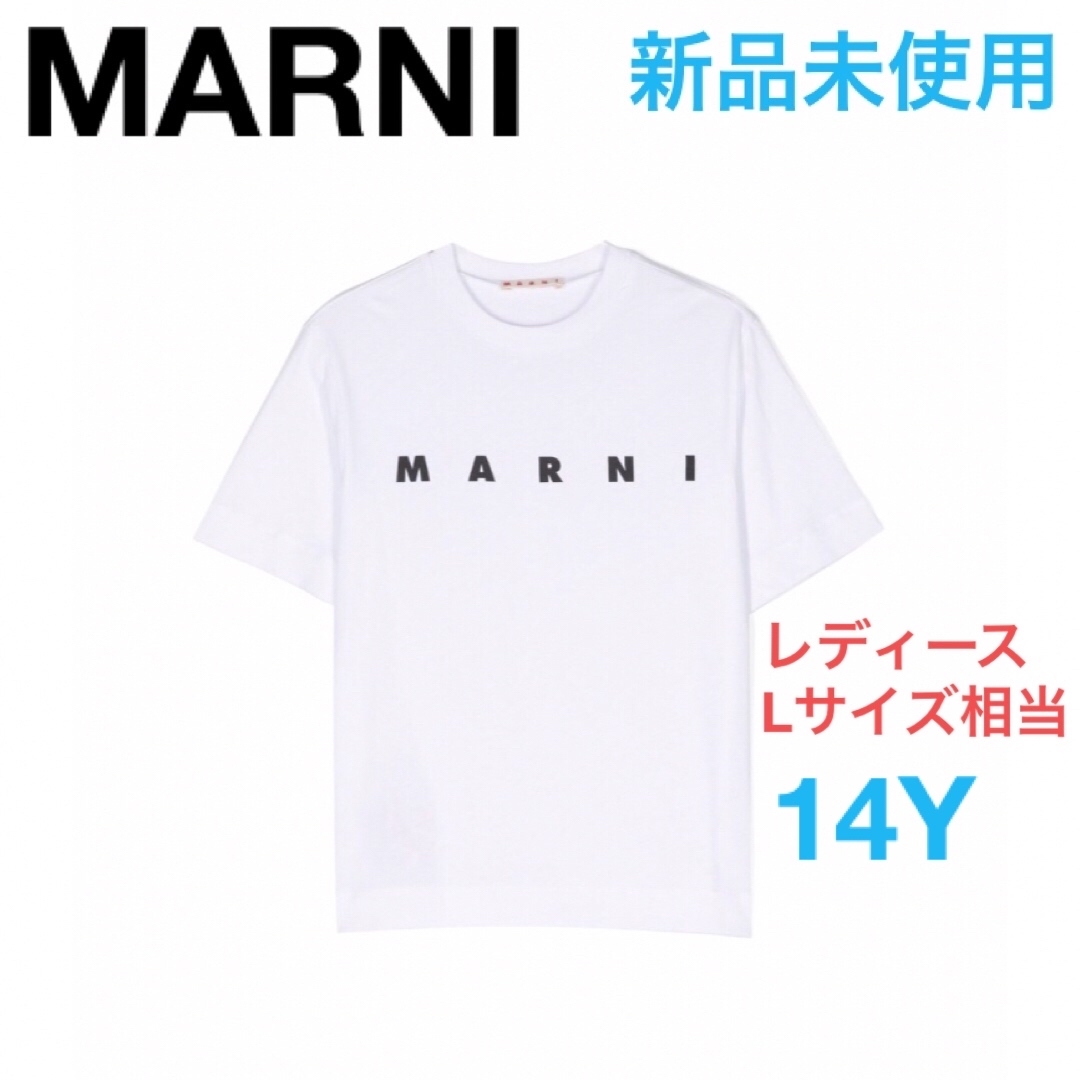 MARNI マルニ　tシャツ　14y