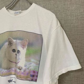 00s 　猫　アニマル　動物　tee フォト　アメリカ　オールド