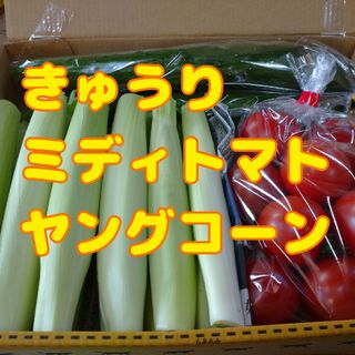 野菜詰め合わせ(野菜)