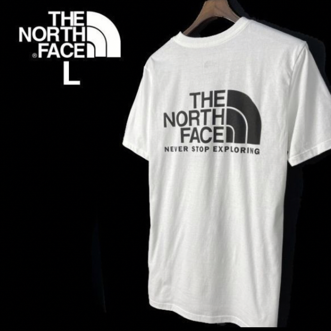 THE NORTH FACE 半袖 Tシャツ US限定 登山 キャンプ(L)白