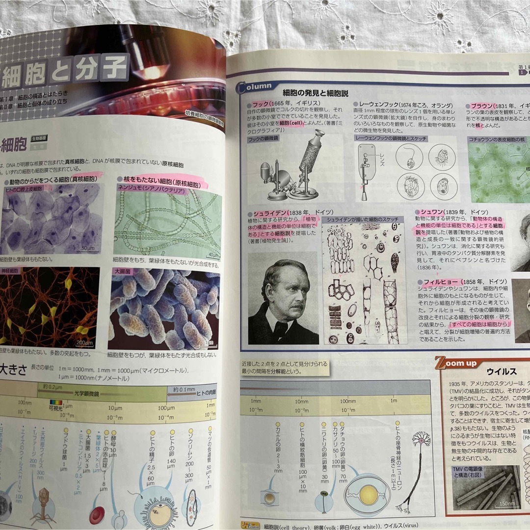 改訂版　生物図録　フォトサイエンス　高校生物　数硏出版　鈴木孝仁　生物基礎 エンタメ/ホビーの本(語学/参考書)の商品写真