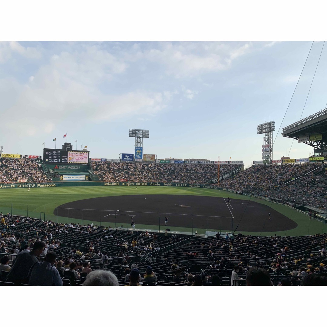 阪神タイガース(ハンシンタイガース)の7月8日　甲子園　阪神vs  ヤクルト　18時開始 グリーンシート通路側2席 チケットのスポーツ(野球)の商品写真