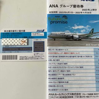 エーエヌエー(ゼンニッポンクウユ)(ANA(全日本空輸))のANA 優待券(航空券)