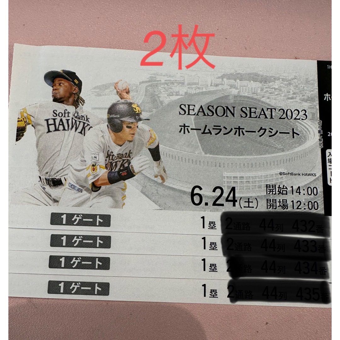 福岡ソフトバンクホークス(フクオカソフトバンクホークス)の6月24日　ソフトバンクホークス　チケット　2枚 チケットのスポーツ(野球)の商品写真