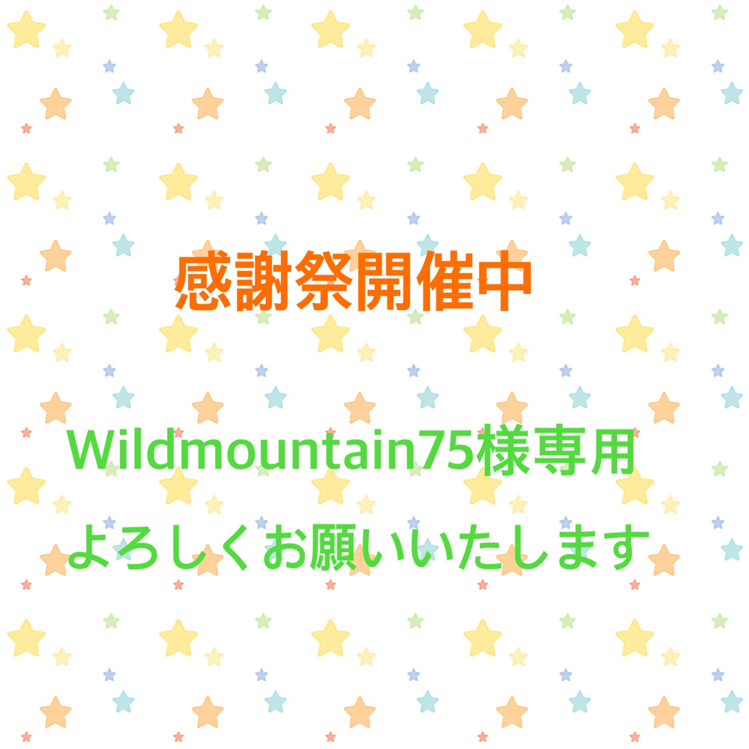 お客様専用ページ⭐️ ハンドメイドの素材/材料(各種パーツ)の商品写真