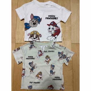 エイチアンドエム(H&M)の新品　パウパトロール　Tシャツ(Ｔシャツ)