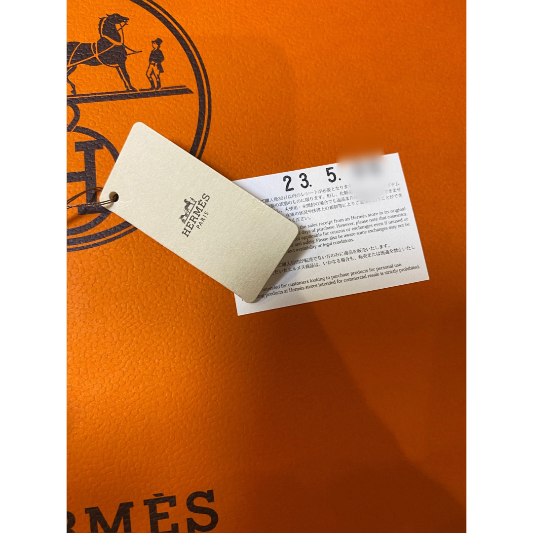 本日限定！【超希少！】【新作】HERMES 2023ss 新作ツイリー