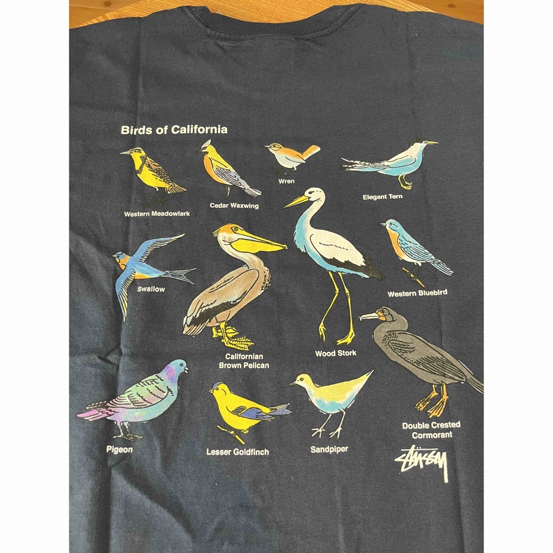 STUSSY - 新品・未使用 SU23' Stussy California Birds Teeの STUSSY - 新品・未使用 SU23' Stussy California Birds Teeの