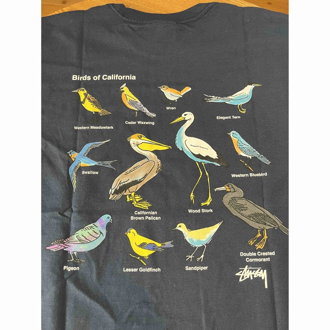 STUSSY CALIFORNIA BIRDS TEE 23ss