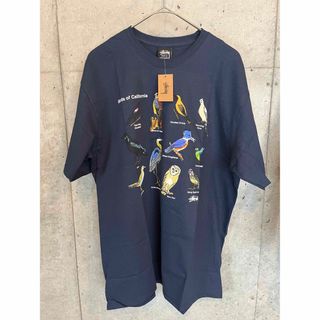 STUSSY CALIFORNIA BIRDS TEE 23ss