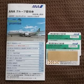 エーエヌエー(ゼンニッポンクウユ)(ANA(全日本空輸))のANA株主優待券２枚＋グループ優待冊子セット☆(その他)