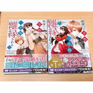 カドカワショテン(角川書店)の間違いで求婚された女は一年後離縁される 1.2(女性漫画)