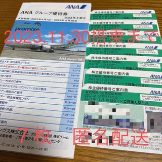 エーエヌエー(ゼンニッポンクウユ)(ANA(全日本空輸))のANA株主優待券　７枚　2023.11.30まで(その他)