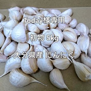 Today様専用 5kg 本年度 初物 大分県産 にんにく(野菜)